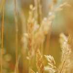 Anas: obbligatori gli pneumatici invernali per i veicoli industriali. I tratti stradali e autostradali interessati.